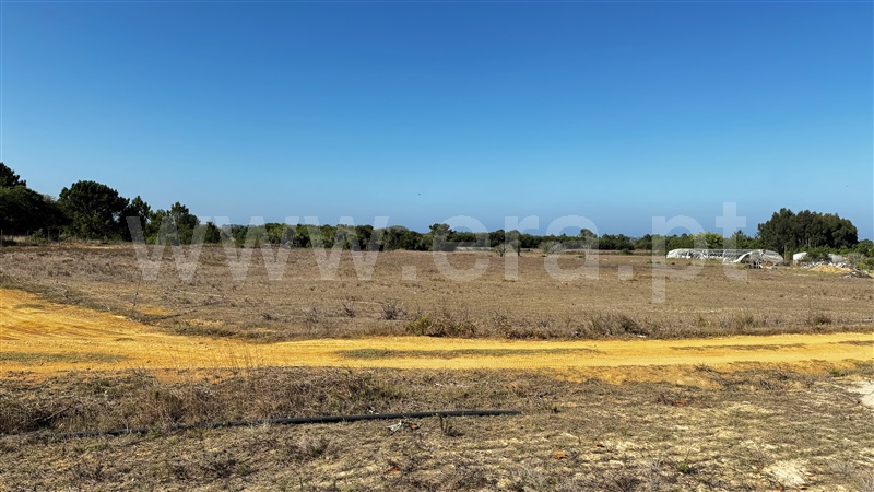 Lote  Odemira, Brejão - 1489964 - 20