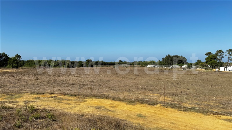 Lote  Odemira, Brejão - 1489964 - 21