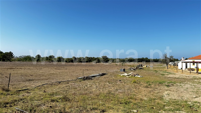 Lote  Odemira, Brejão - 1489964 - 22