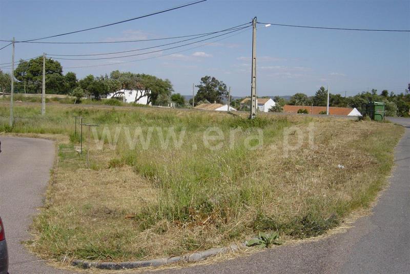 Lote / Odemira, São Luís
