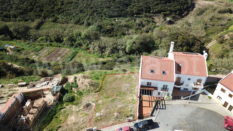 Lote / Odemira, Zambujeira do Mar