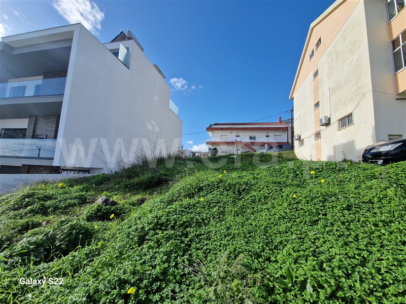Lote / Odivelas, Pontinha e Famões