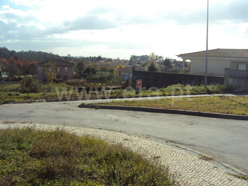Lote / Oliveira de Azeméis, Macieira de Sarnes
