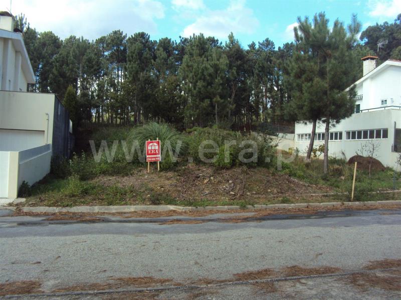 Lote / Oliveira de Azeméis, Macieira de Sarnes