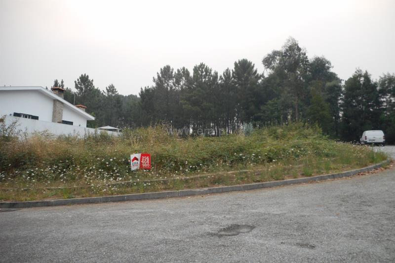 Lote / Oliveira de Azeméis, Macieira de Sarnes