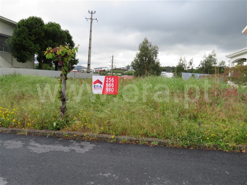 Lote / Oliveira de Azeméis, Nogueira do Cravo e Pindelo