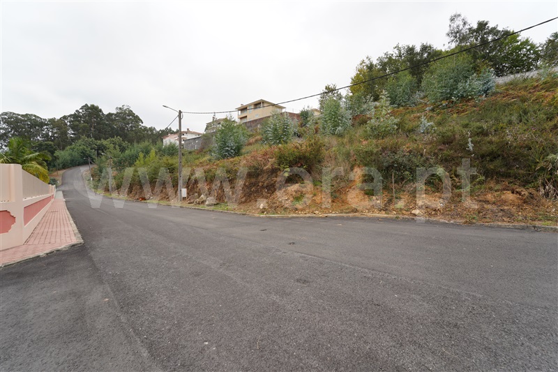 Lote  Oliveira de Azeméis, OAZ - 1 - 1511384 - 1