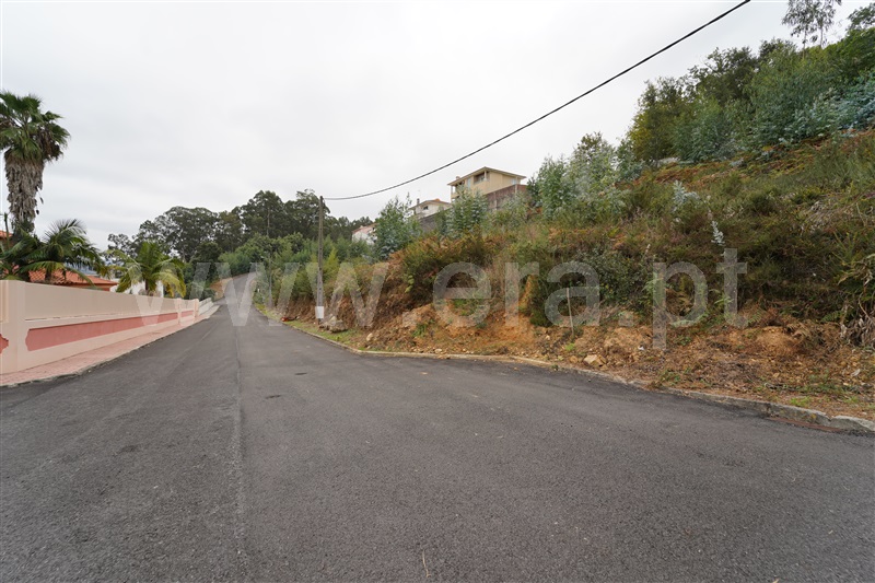 Lote  Oliveira de Azeméis, OAZ - 1 - 1511384 - 2