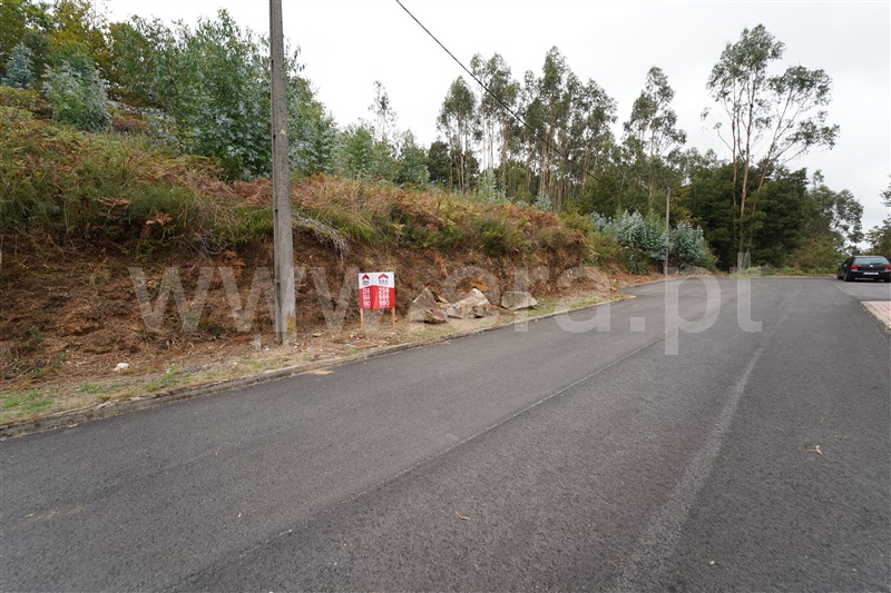 Lote / Oliveira de Azeméis, OAZ - 1