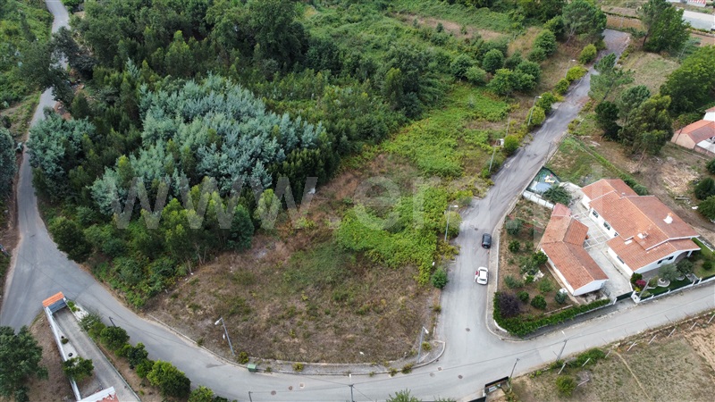 Lote  Oliveira de Azeméis, Ossela - 1359372 - 2