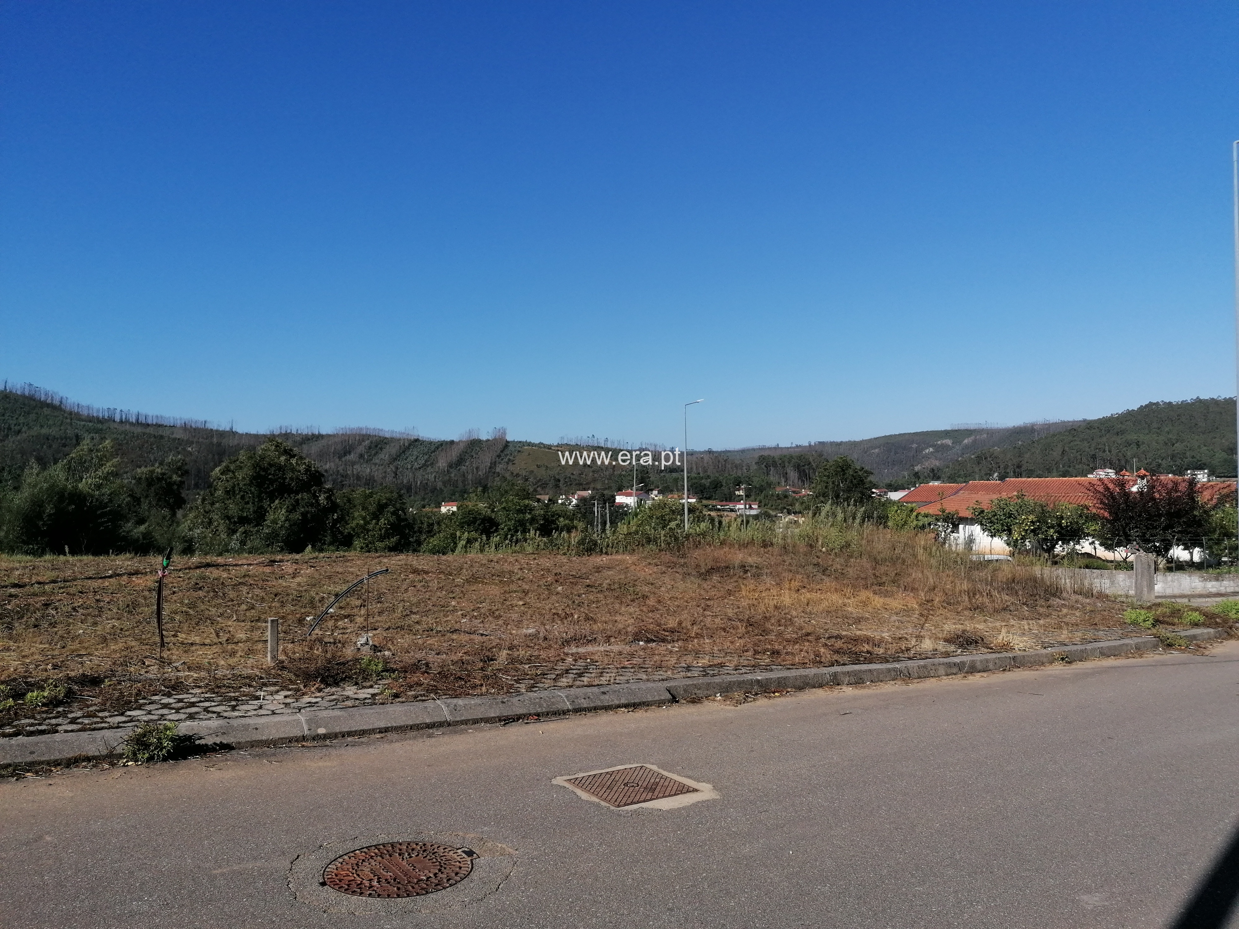 Lote / Oliveira de Azeméis, Ossela
