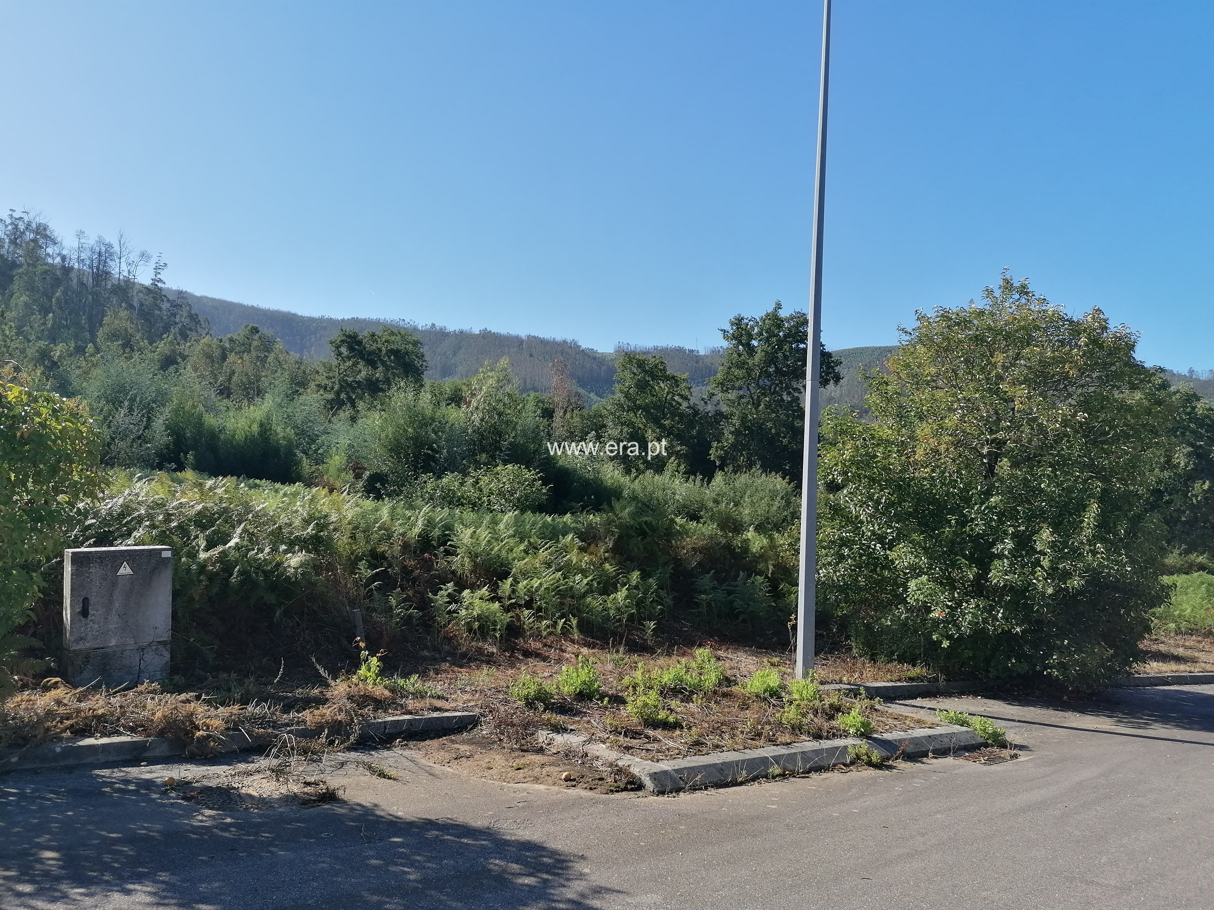 Lote / Oliveira de Azeméis, Ossela