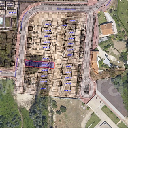 Lote / Oliveira de Azeméis, Palmaz