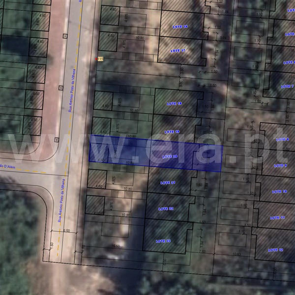 Lote / Oliveira de Azeméis, Palmaz