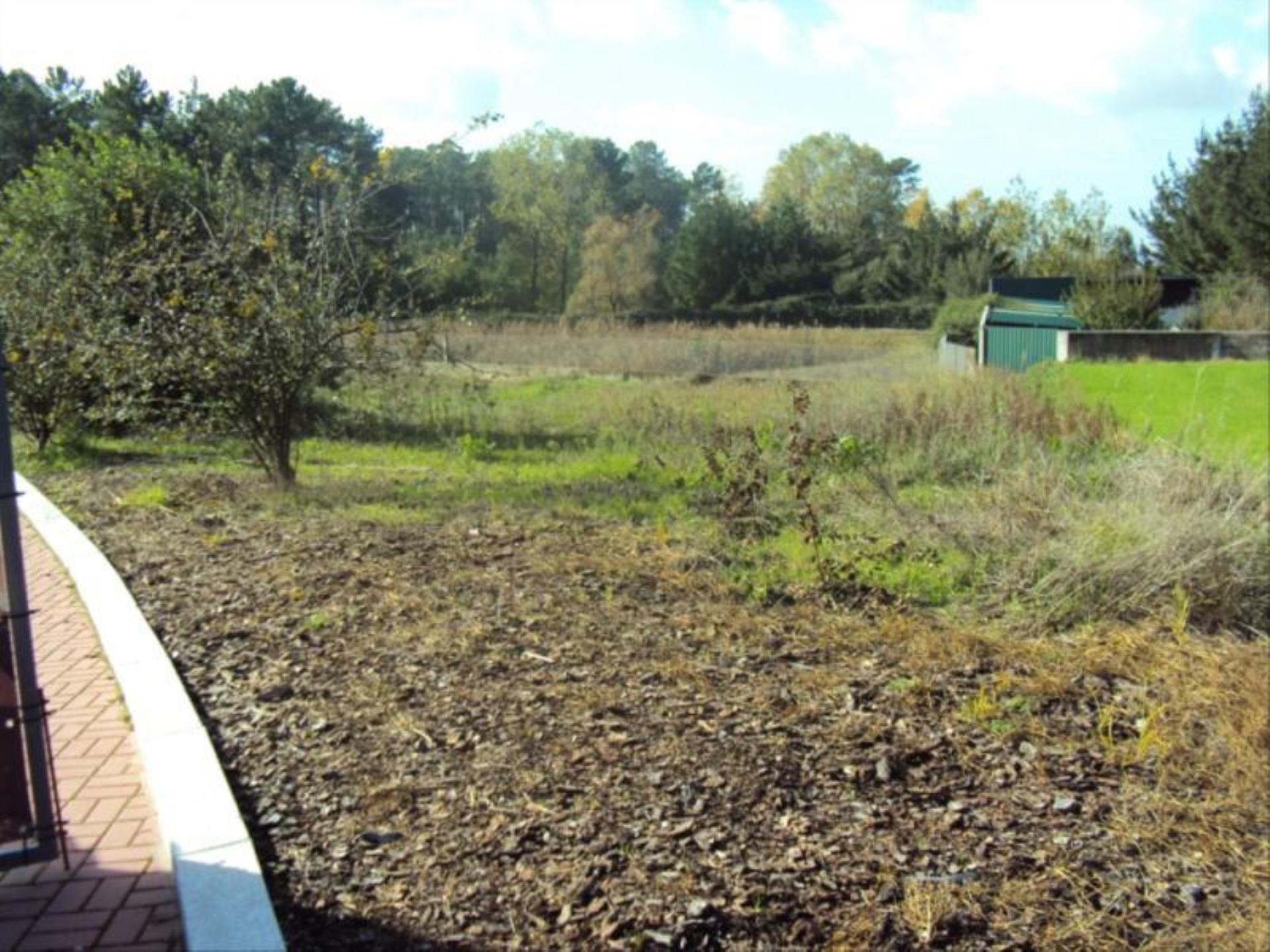 Land for sale in Oliveira de Azeméis, Portugal — €75,000
