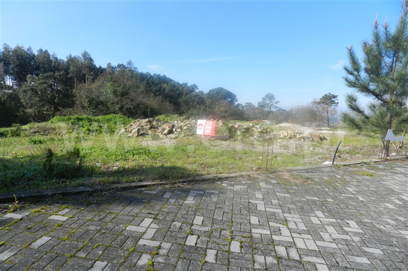 Lote / Oliveira de Azeméis, Pinheiro da Bemposta, Travanca e Palmaz