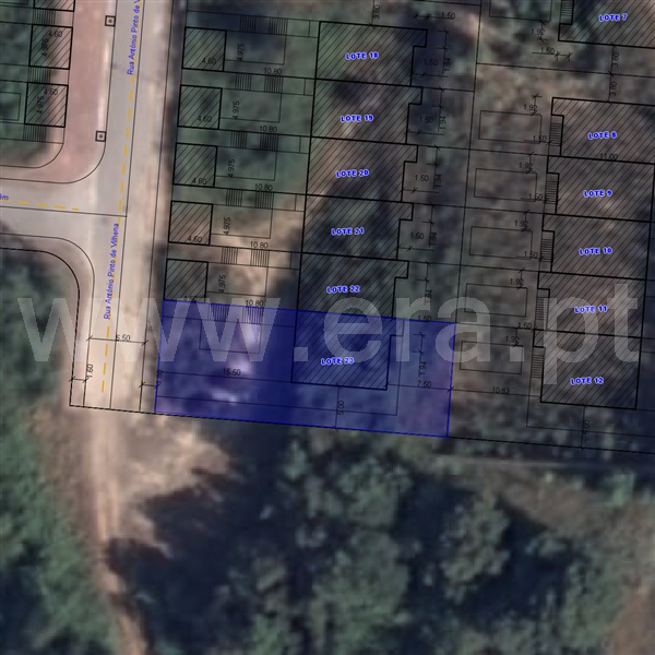Lote / Oliveira de Azeméis, Pinheiro da Bemposta, Travanca e Palmaz