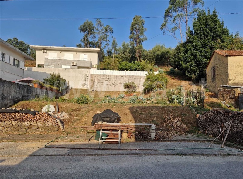Lote / Oliveira de Azeméis, Pinheiro da Bemposta, Travanca e Palmaz