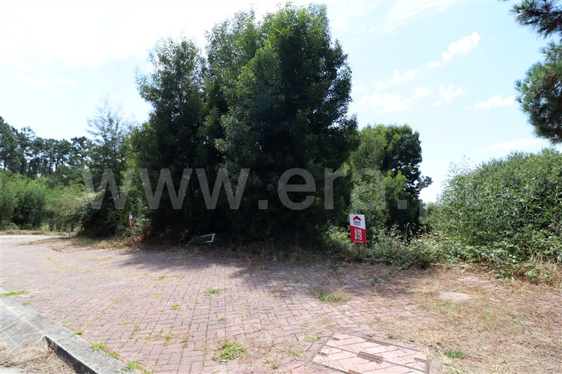 Lote / Oliveira de Azeméis, Pinheiro da Bemposta, Travanca e Palmaz