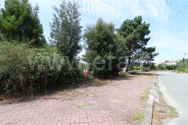 Lote / Oliveira de Azeméis, Pinheiro da Bemposta, Travanca e Palmaz