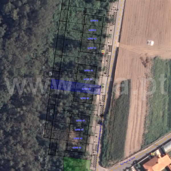 Lote / Oliveira de Azeméis, São Martinho da Gândara