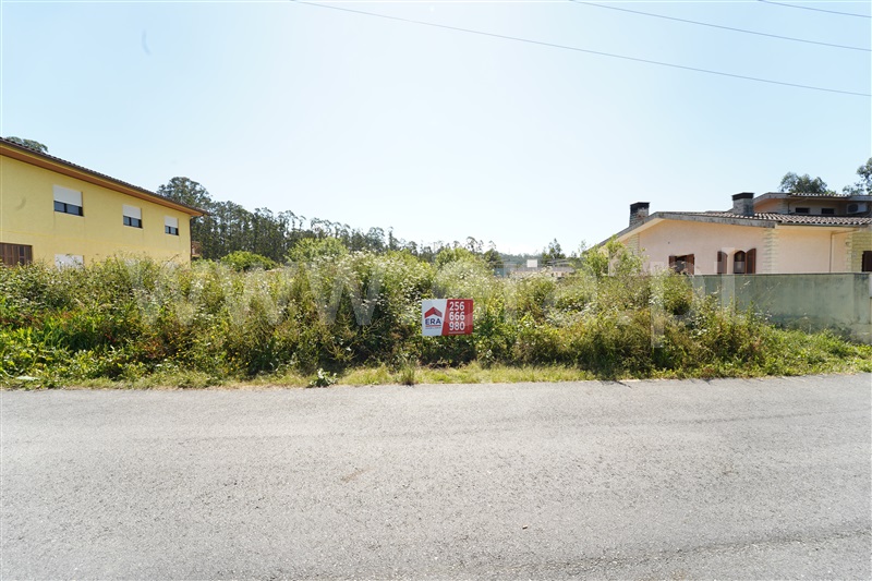 Lote / Oliveira de Azeméis, São Martinho da Gândara