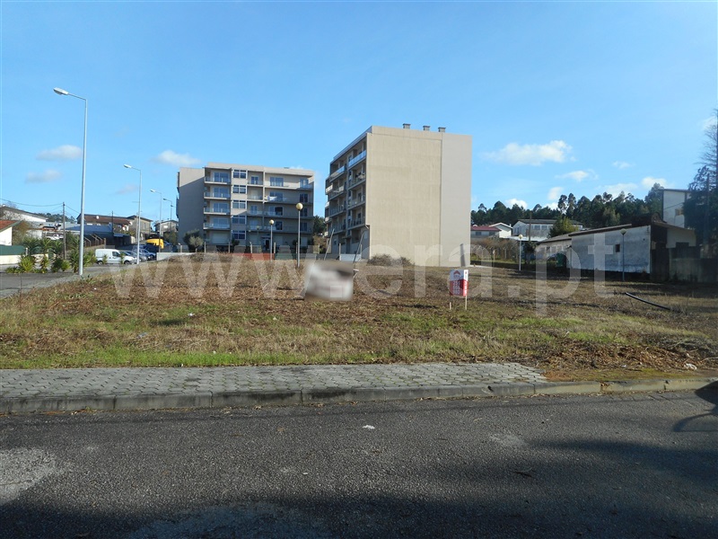 Lote / Oliveira de Azeméis, São Roque