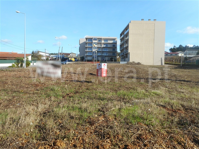 Lote / Oliveira de Azeméis, São Roque