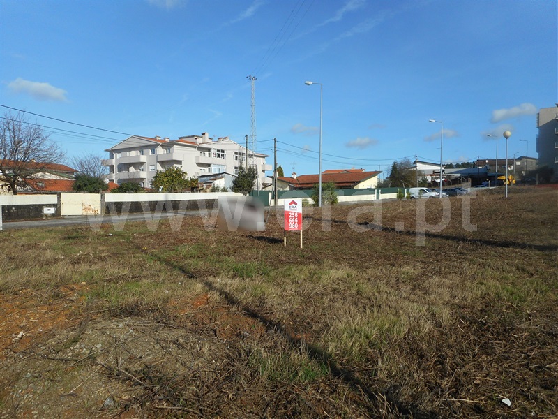 Lote / Oliveira de Azeméis, São Roque