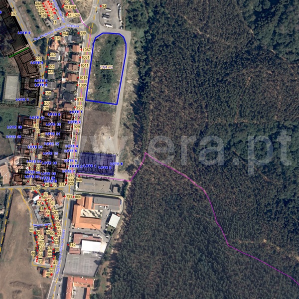 Lote / Oliveira de Azeméis, São Roque