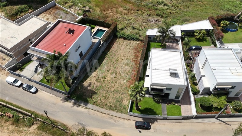 Lote / Oliveira de Azeméis, Vila de Cucujães
