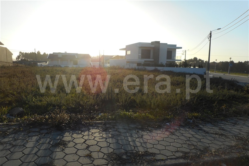 Lote  Oliveira de Azeméis, Cucujães - 1 - 881122 - 2