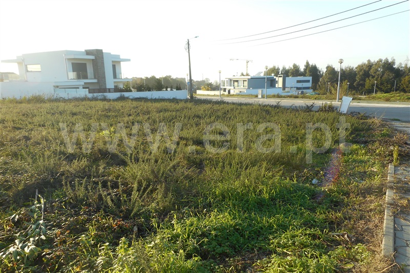 Lote  Oliveira de Azeméis, Cucujães - 1 - 881122 - 4