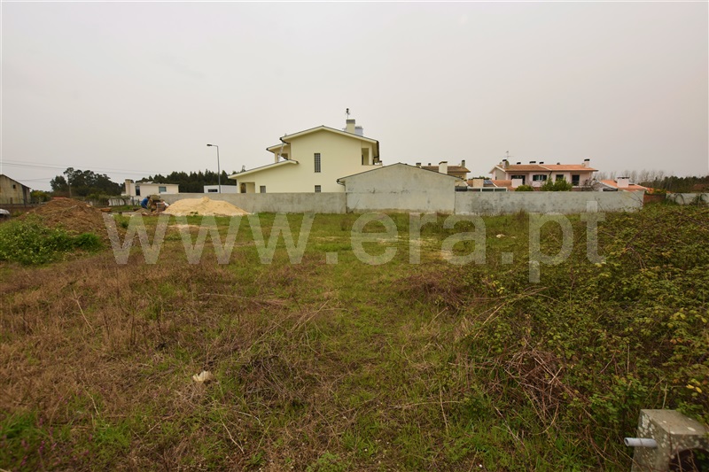 Lote / Oliveira do Bairro, Bustos, Troviscal e Mamarrosa