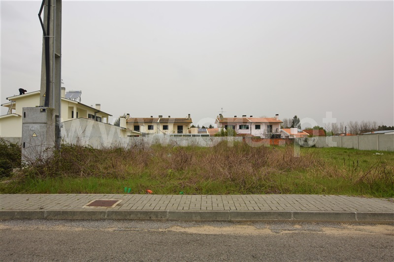 Lote / Oliveira do Bairro, Bustos, Troviscal e Mamarrosa