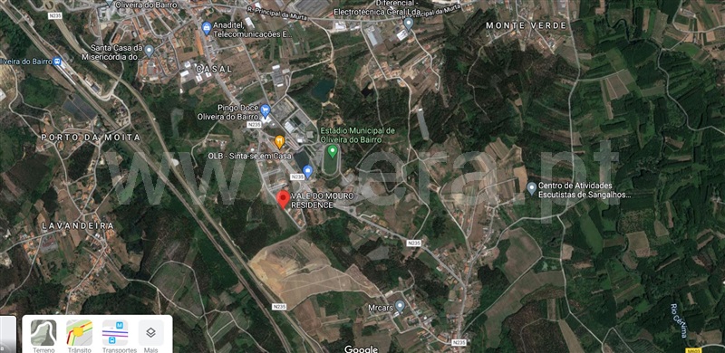 Lote / Oliveira do Bairro, Oliveira do Bairro