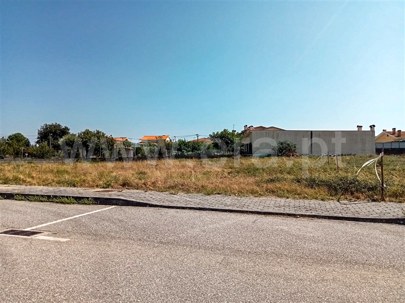 Lote  com Urbano Oliveira do Hospital, Santa Ovaia e Vila Pouca da Beira - 1488962 - 4