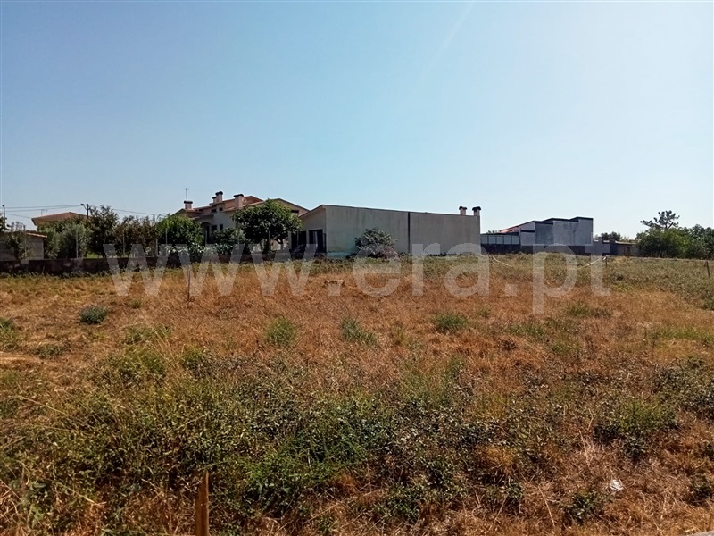Lote  com Urbano Oliveira do Hospital, Santa Ovaia e Vila Pouca da Beira - 1488962 - 5