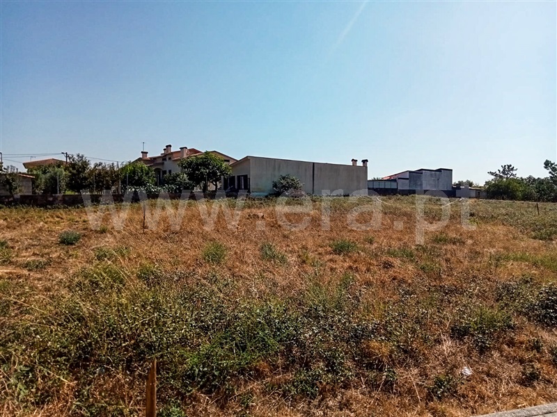 Lote  com Urbano Oliveira do Hospital, Santa Ovaia e Vila Pouca da Beira - 1488962 - 7