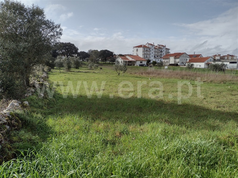 Lote / Ourém, Fátima