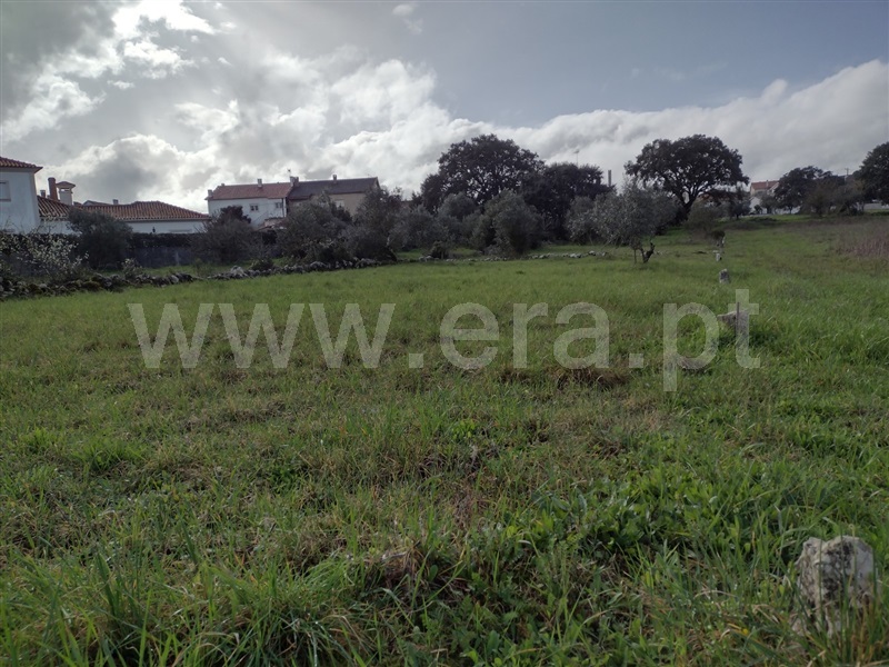 Lote  Ourém, Fátima - 1150930 - 5