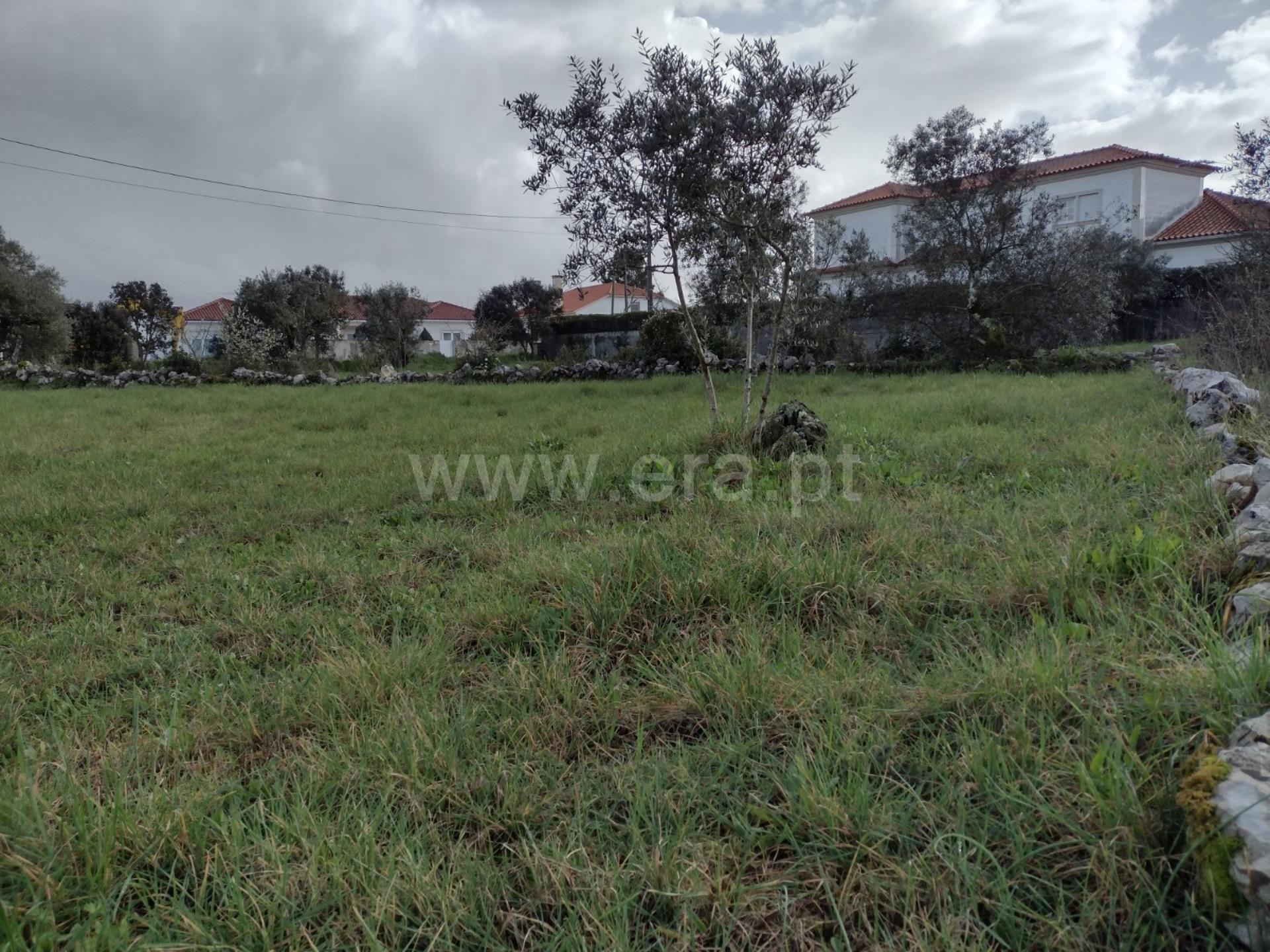 Land for sale in Ourém, Portugal — €77,000
