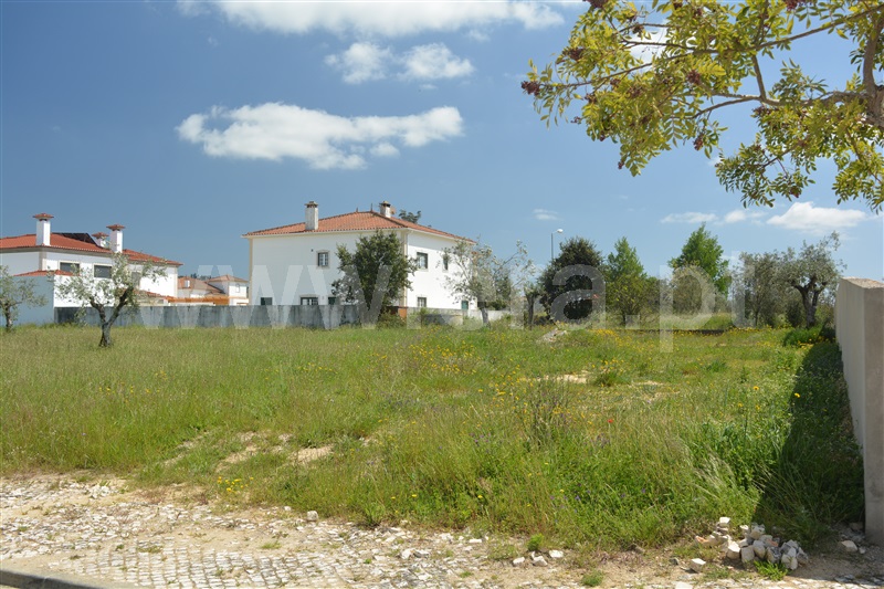 Lote  com Urbano Ourém, Freixianda, Ribeira do Fárrio e Formigais - 1241817 - 5