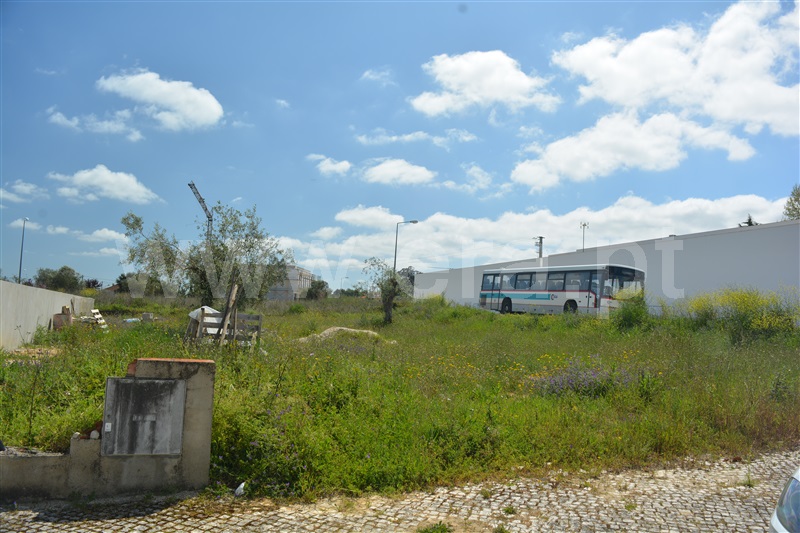 Lote  Ourém, Freixianda, Ribeira do Fárrio e Formigais - 1241937 - 4