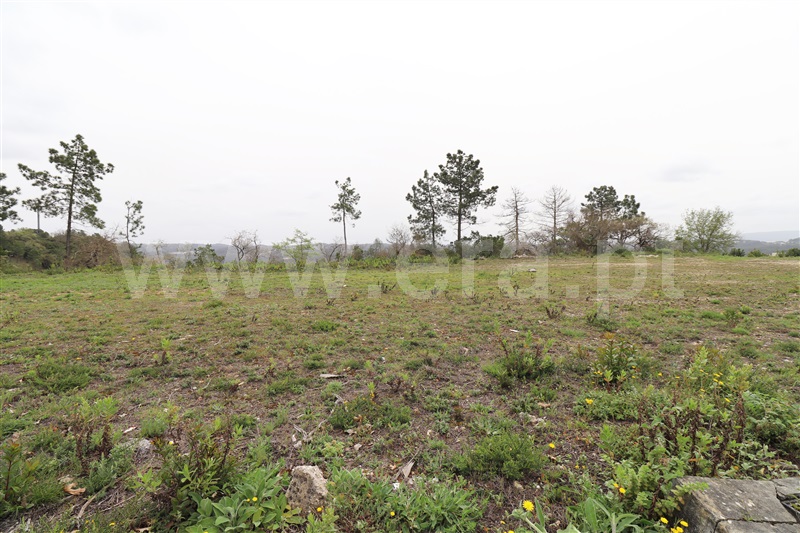 Lote  Ourém, Nossa Senhora da Piedade - 1237641 - 9