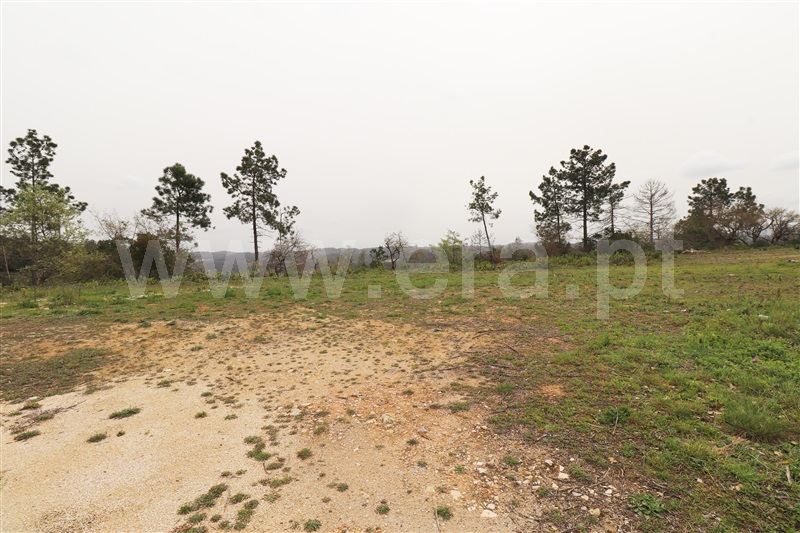 Lote  Ourém, Nossa Senhora da Piedade - 1237650 - 4
