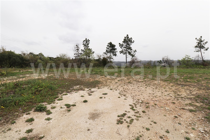 Lote  Ourém, Nossa Senhora da Piedade - 1237650 - 8