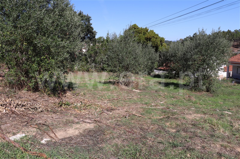 Lote / Ourém, Nossa Senhora das Misericórdias