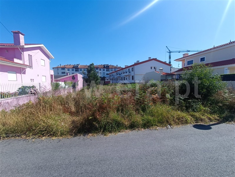 Lote / Ovar, Esmoriz
