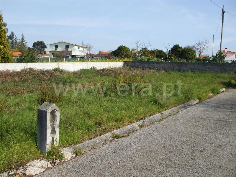 Lote / Ovar, Maceda